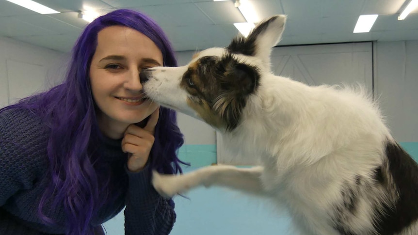 Drama the dog licks Maddie Johnson's face.