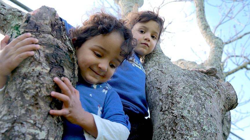 Elijah and Ethan Basman Reimi climb a tree