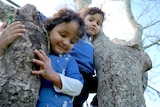 Elijah and Ethan Basman Reimi climb a tree