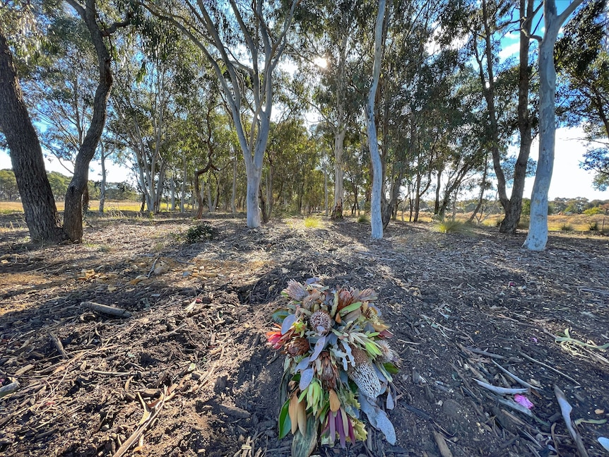 Flowers laid on a natural burial site in a park
