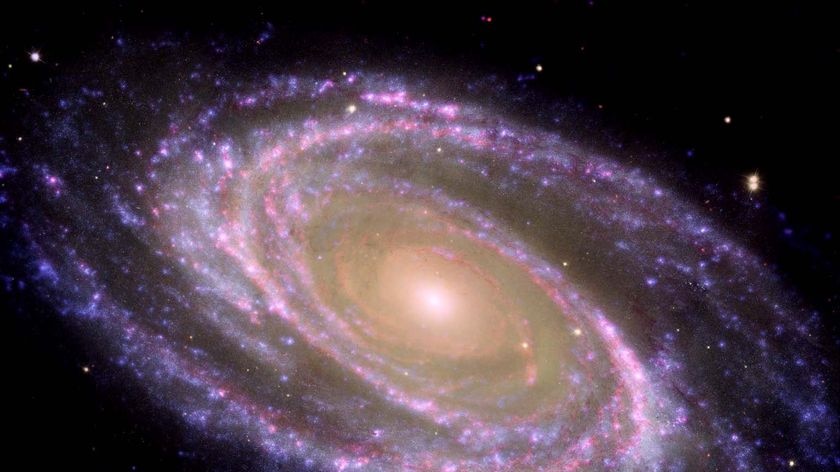 A galaxy spirals somewhere in the universe
