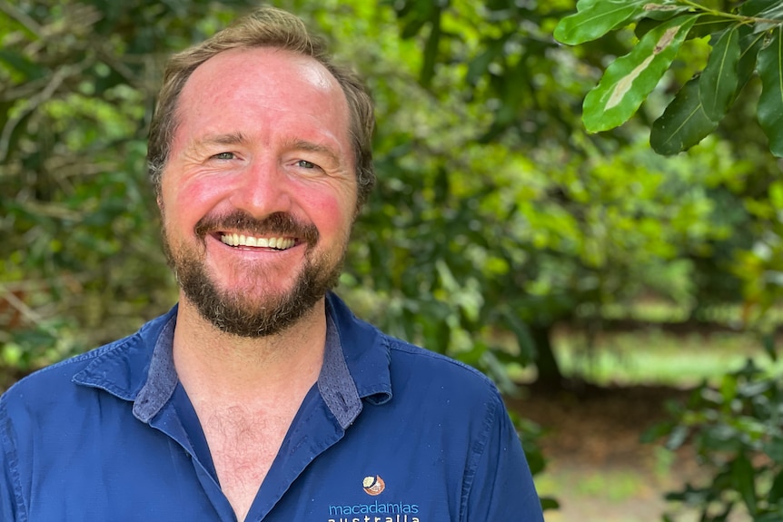 Portrait of man in a blue shirt with blurred macadamia tree leaves in the background