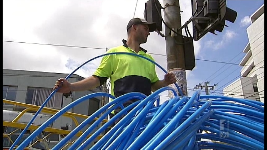 NBN suspends tendering process