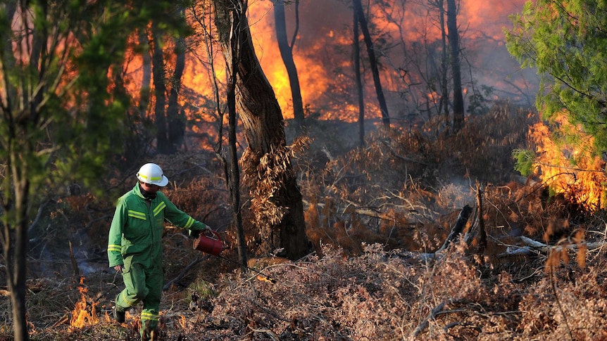 A DSE firefighter ignites a control burn in Victoria.