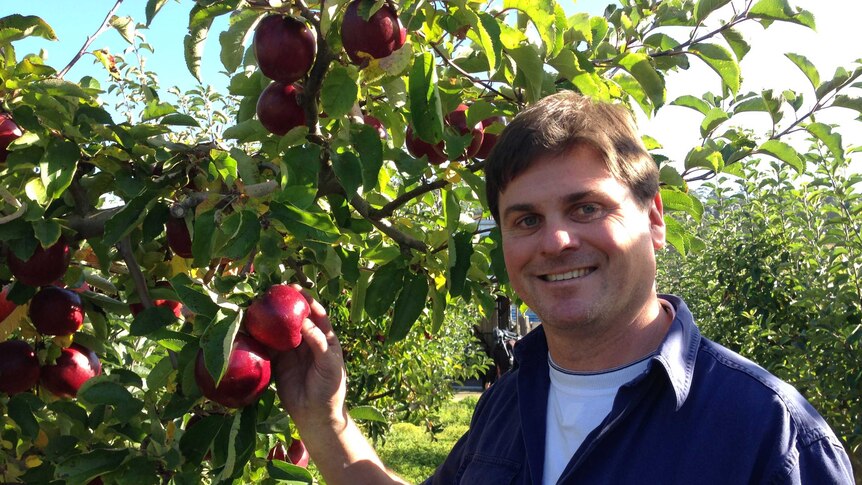 Orchardist Dane Griggs