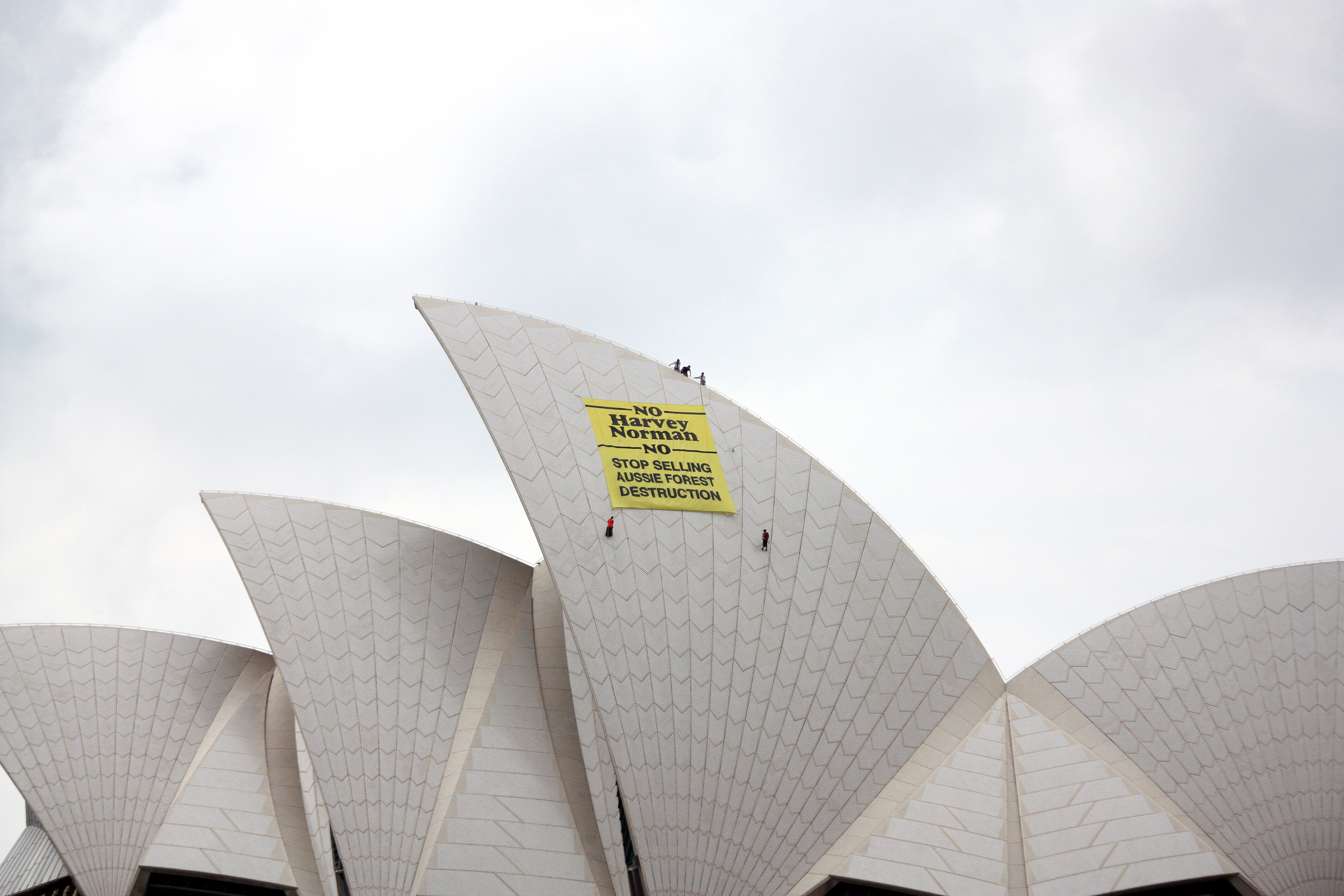 Opera House Protest Targets Harvey Norman Abc News