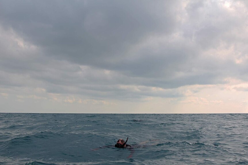 A photo of a diver snorkelling at the ocean's surface as some dark grey clouds gather.