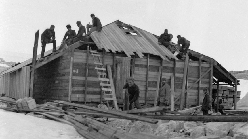 An advanced stage in the construction of the hut