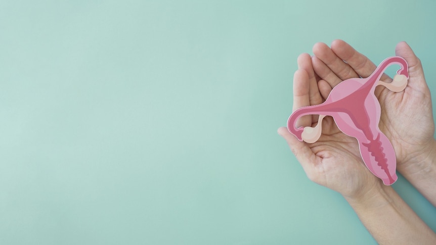 Hands holding paper cutout of a vagina, uterus and ovaries on a pale green background