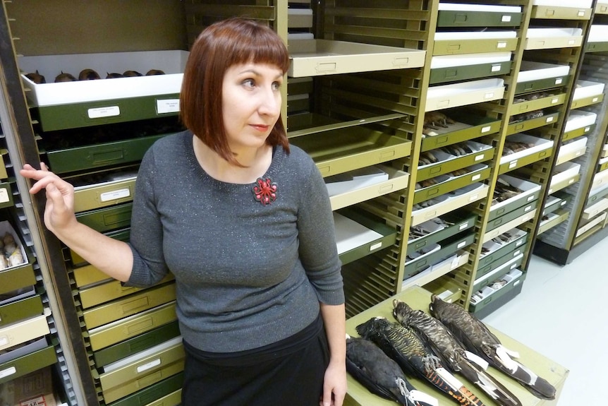 Amber Beavis with black cockatoo specimens