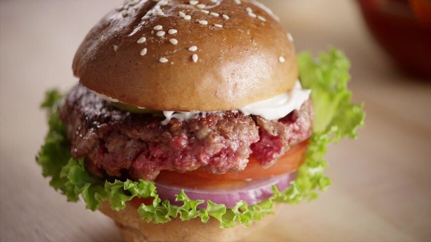 Fake Meat: the growth in popularity of artificial meat.