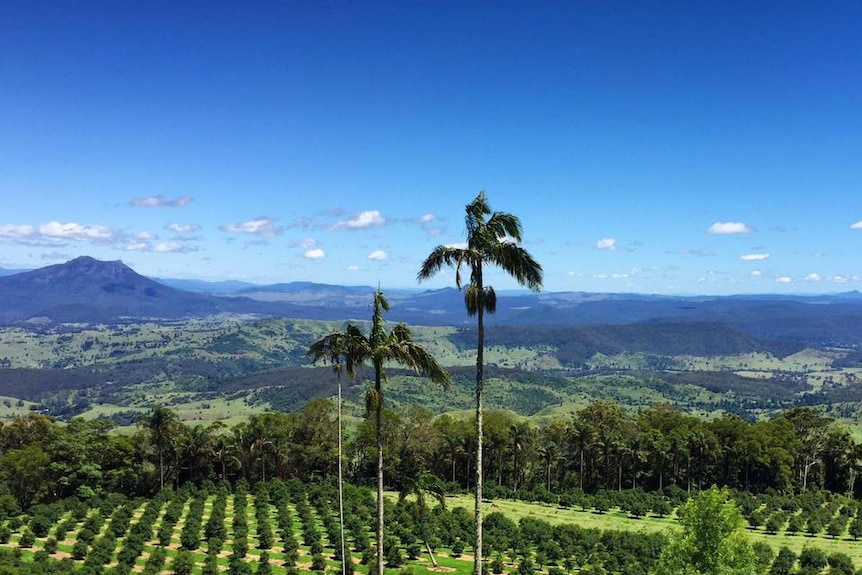 Scenic Rim, farming and food come together