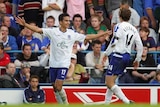 Tim Cahill celebrates goal for Everton v Portsmouth