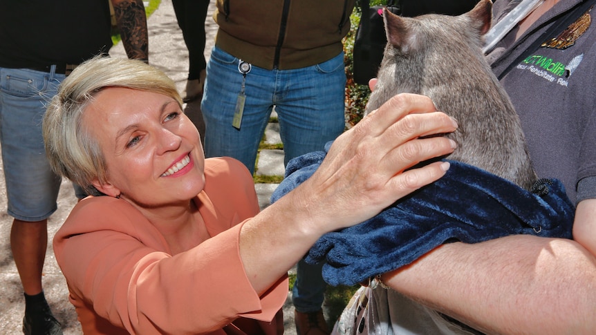 A woman crouching looking up at a furry animal and patting it as its held by another person.