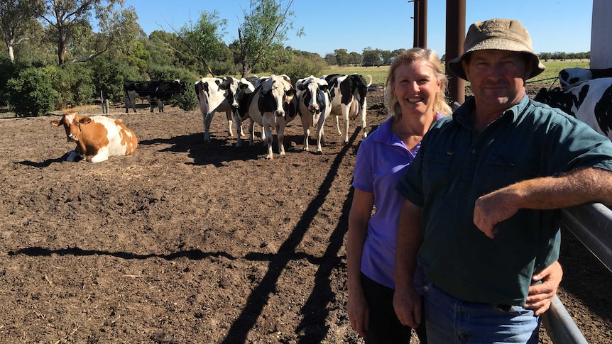 Northern Victoria dairy farmers Heather and Colin Stone are in the midst of changing to organics on their Katunga dairy.