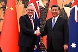 Anthony Albanese shakes hands with Xi Jinping in front of the Australian and Chiense flags in Beijing.