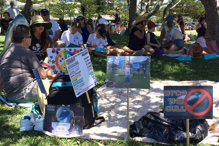 Activists at 'No Shark Cull' rally at Coolangatta