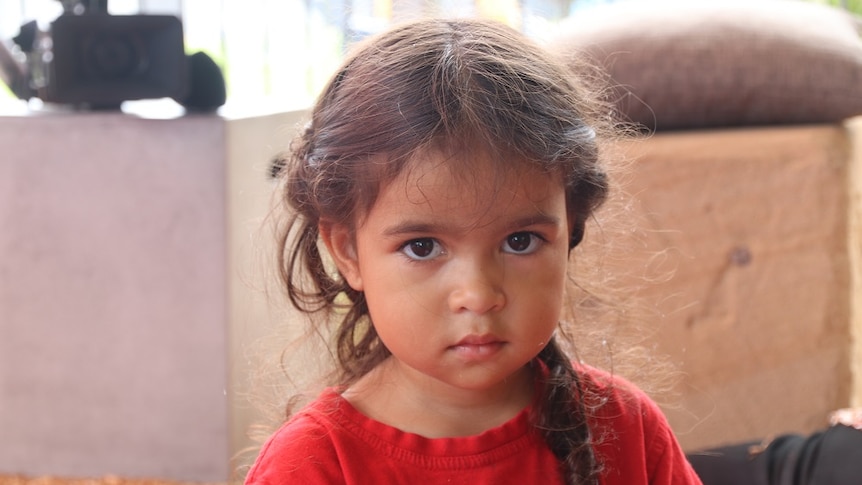 A little girl in a red shirt looks at the camera