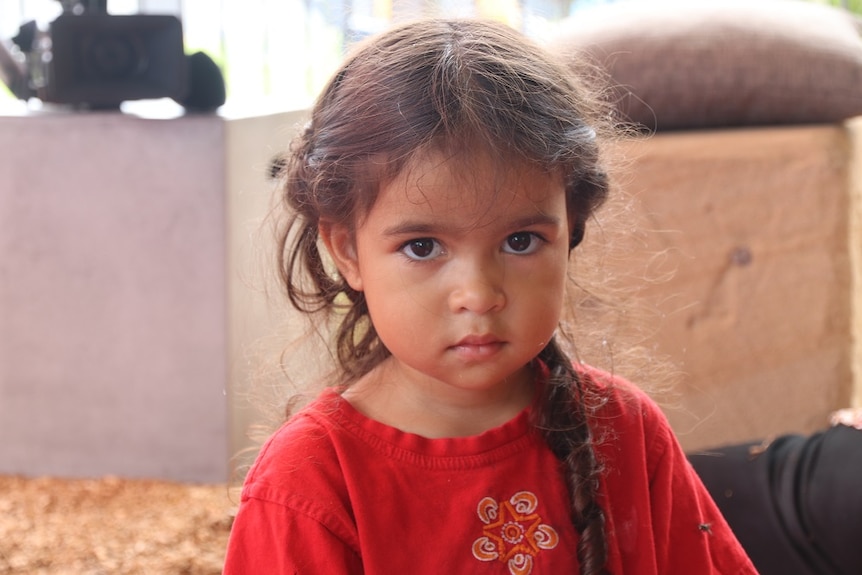 A little girl in a red shirt looks at the camera