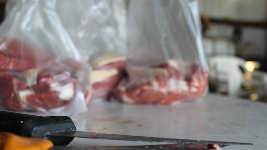Sliced red meat is bagged ready for freezing. Two sharp butchering knives in the foreground.