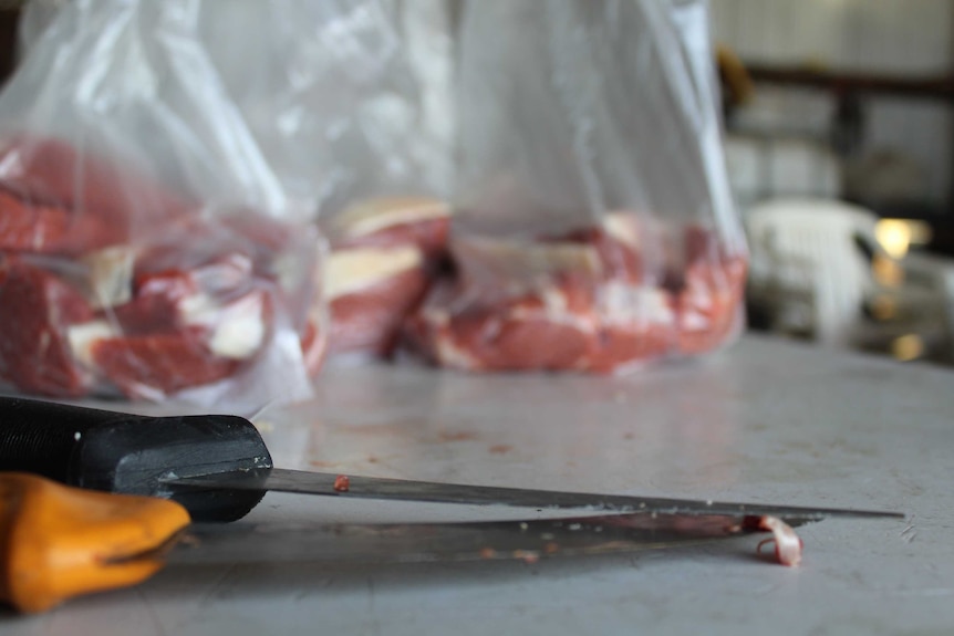 Sliced red meat is bagged ready for freezing. Two sharp butchering knives in the foreground.