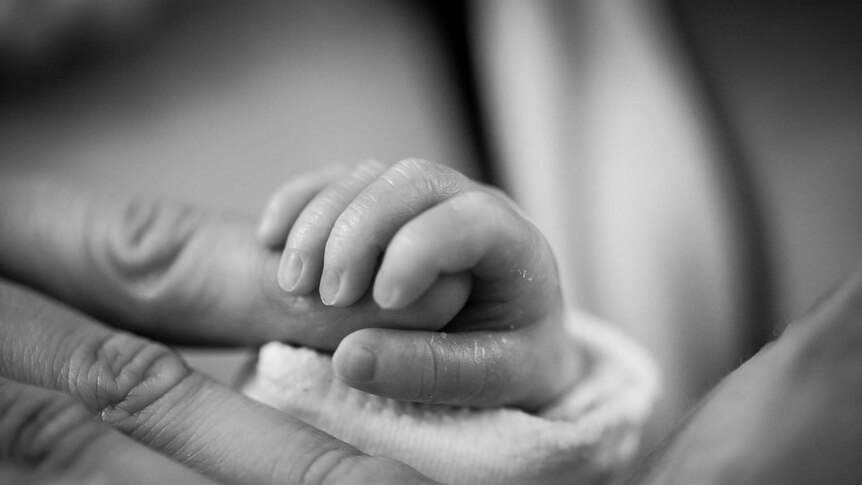 a parent holds the tiny hand of a newborn
