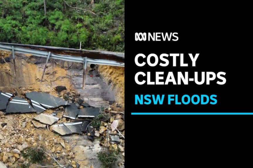 Costly Clean-Ups, NSW Floods: A roadway that has slipped away.