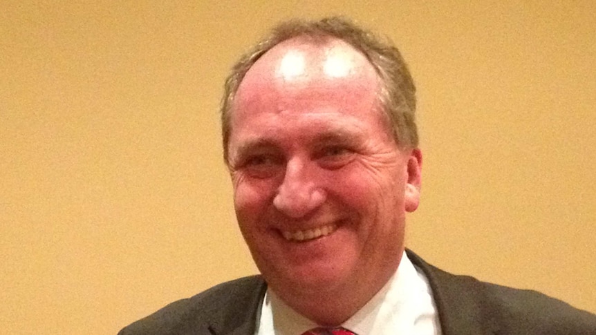 Federal Minister for Agriculture Barnaby Joyce smiles in a suit and striped tie.