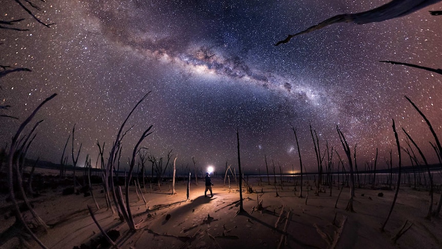 A photographer looks up while holding a lighting device at the Milky Way surrounded by leafless trees