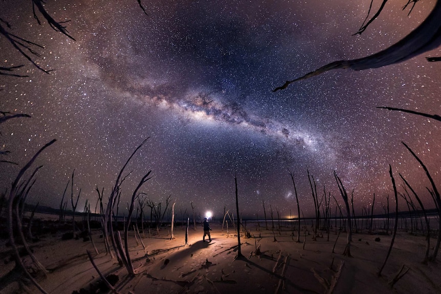 A photographer looks up while holding a lighting device at the Milky Way surrounded by leafless trees