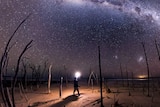 A photographer looks up while holding a lighting device at the Milky Way surrounded by leafless trees