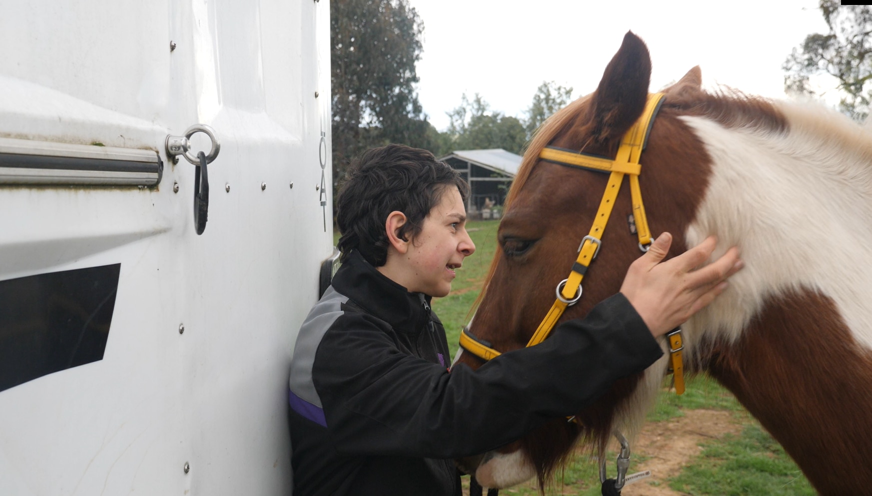 young boy pats his horse, which is wearing a yellow bridle, by a horse float