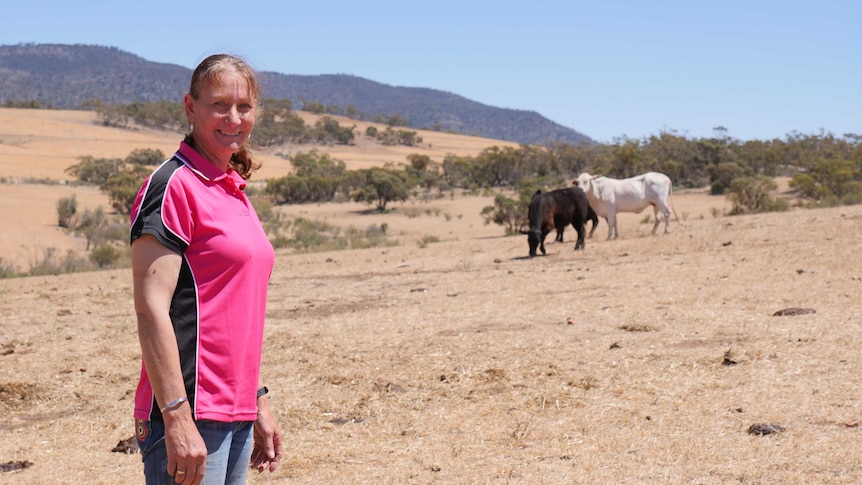A lady with light brown hair in a ponytail and wearing a pink and black shirt stands to the left of two brown cows and Daisy.