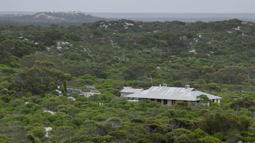 A view over white sandy dunes covered in dark green scrub, with a house nestled in the middle.