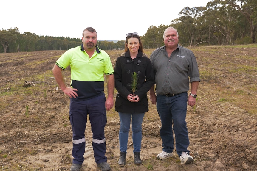 An adult son, daughter and father stand in a cleared field. The woman in a black coat is holding a pine sapling and smiling