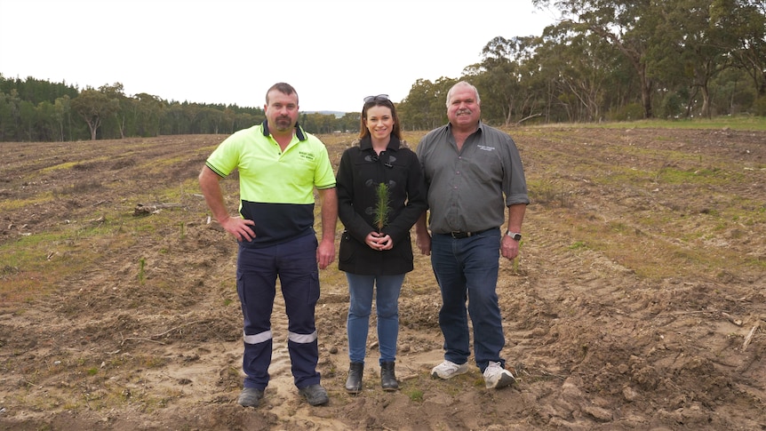 An adult son, daughter and father stand in a cleared field. The woman in a black coat is holding a pine sapling and smiling