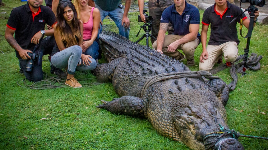 Jock the croc with Koorana reptile farmer John Lever near Rockhampton in central Qld