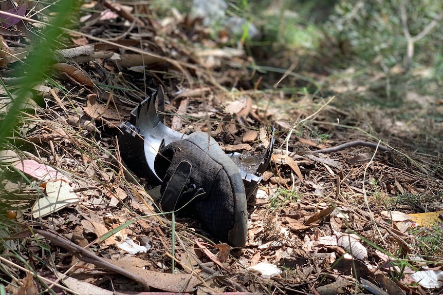 A child's shoe lying in some scrub.