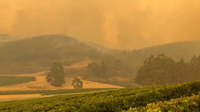 Lloyd Douglas vineyard during February fires.