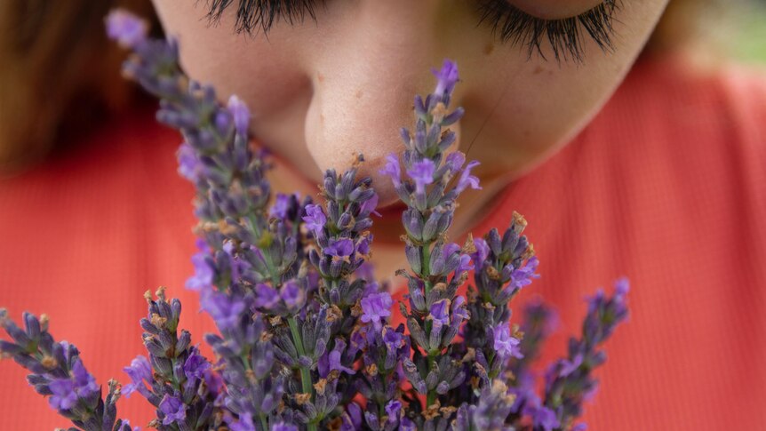 Close-up photo of woman with brown hair and face pressing into large purple bunch of fresh lavender.