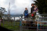 A farmer and his two daughters on the railings of a cattle yard, with cattle behind them.