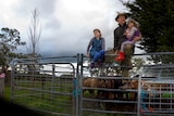 A farmer and his two daughters on the railings of a cattle yard, with cattle behind them.