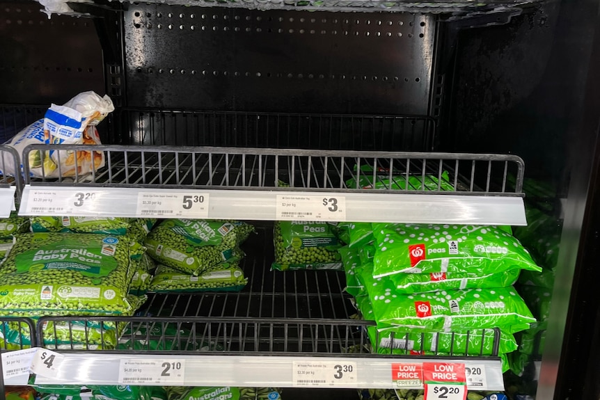 frozen vegetables in a supermarket freezer
