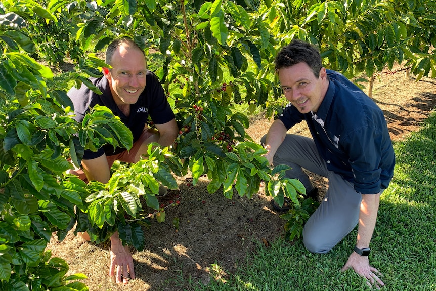 Terry Rose and Tobias Kretzschmar with a coffee tree.