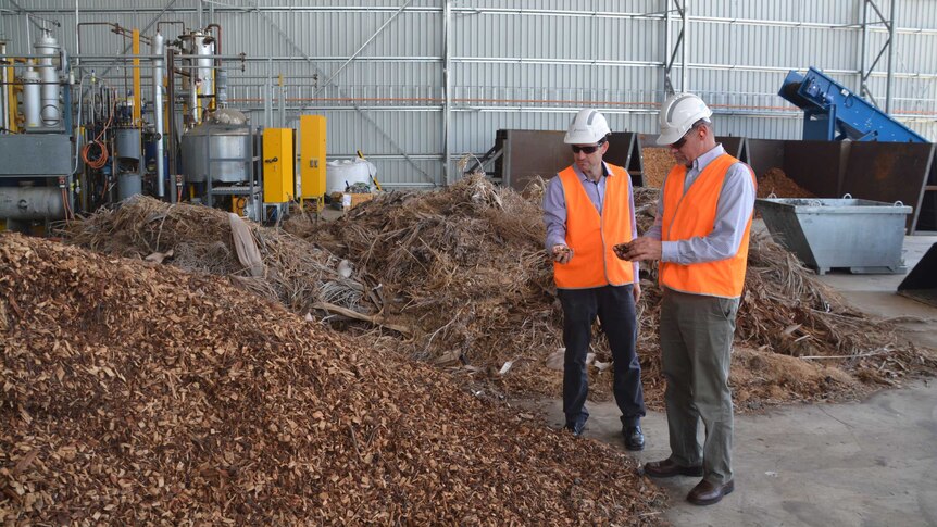 Two men in high-vis and hard hats stand in a shed looking at plant waste.