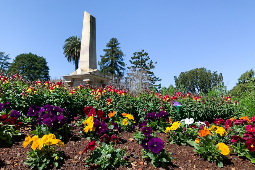 a colourful flower bed of seedlings in a park with a stone momument in the background