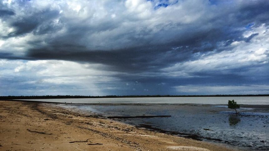 Storm clouds over a beach and mangroves in Karumba.