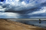 Storm clouds over a beach and mangroves in Karumba.