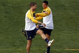 Key roles ... Harry Kewell (L) and Tim Cahill (File photo)