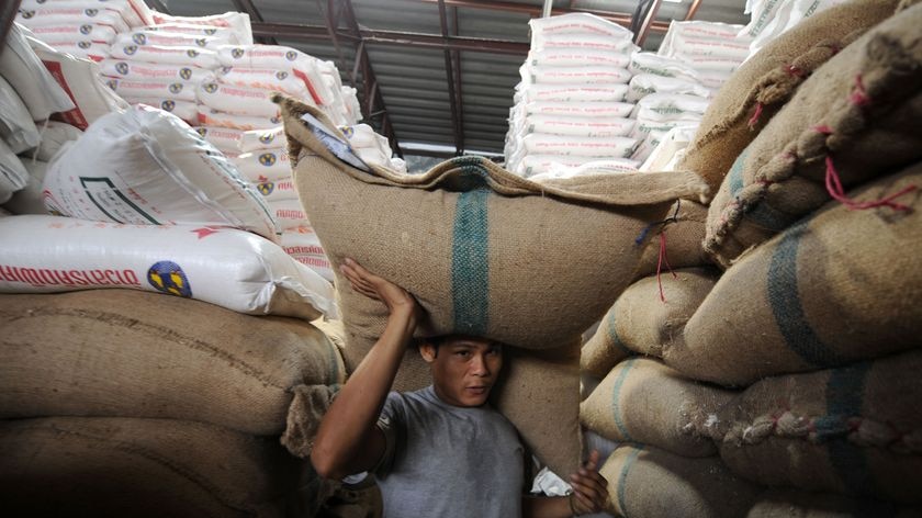 Spiralling grain prices in recent months have startled governments long used to affordable rice, wheat, soy and maize (file photo)